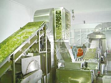 水果干專用帶式干燥機(jī)